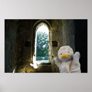 Danny Duck de Mummie Poster