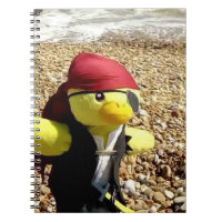 Danny Duck de Piraat