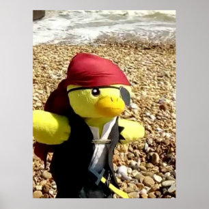 Danny Duck de Piraat Poster