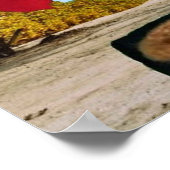 Danny Duck de piraat. Poster (Hoek)