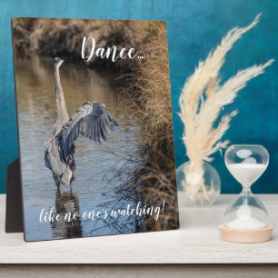 Dans alsof niemand kijkt 8x10 ezel fotoplaat