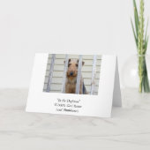 Dans la carte de chenil (Dos)