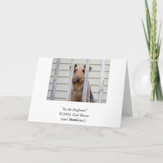 Dans la carte de chenil (Dos)