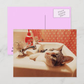 Dans la carte de Kitty d'évier (Devant / Derrière)