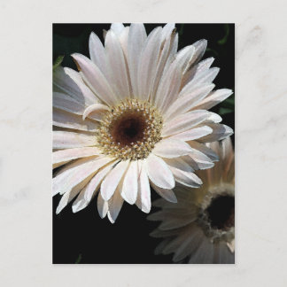 Dans la carte postale de jardin
