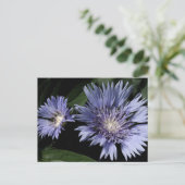 Dans la carte postale de jardin (Debout devant)