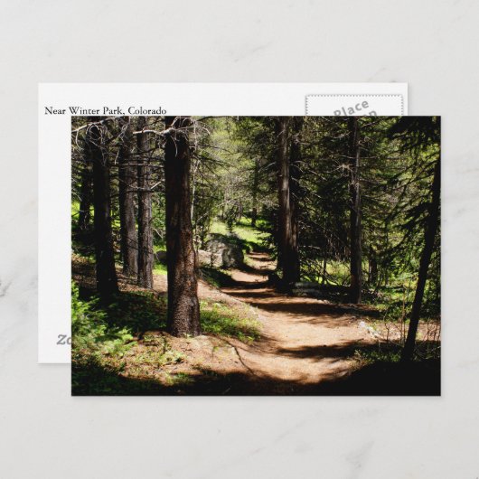 Dans la carte postale de pins - augmentant près du (Devant / Derrière)