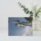 Dans la carte postale Sun (Debout devant)