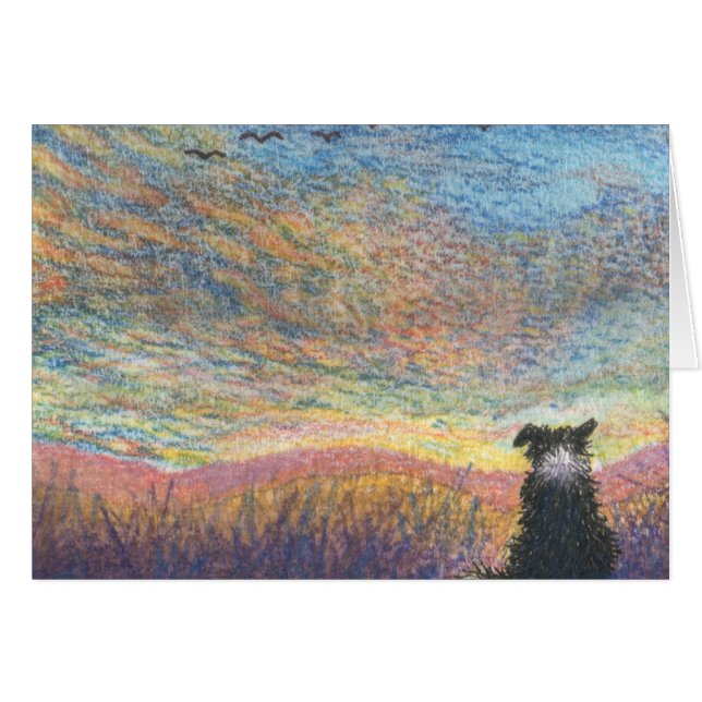 Dans la couleur de la soirée (Devant horizontal)