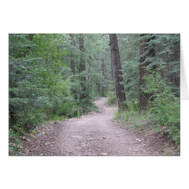 Dans la forêt (Devant Horizontal)