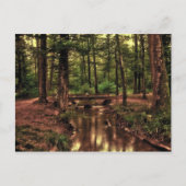 Dans la forêt carte postale (Devant)