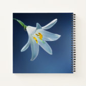 Dans la mémoire aimante | Funérailles, Livre d'or (Dos)