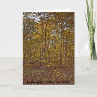 Dans la tranquillité après la carte de sympathie