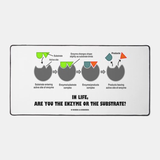 Dans La Vie Êtes-Vous Enzyme Ou Substrat? Fit Indu (Recto)