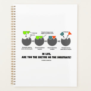 Dans La Vie Êtes-Vous Enzyme Ou Substrat? Fit Indu