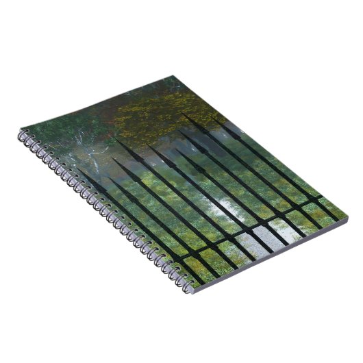 Dans l'ancien Carnet forestier (Côté Droit)