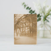 Dans le brouillard - Carte postale (Debout devant)