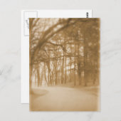 Dans le brouillard - Carte postale (Devant / Derrière)