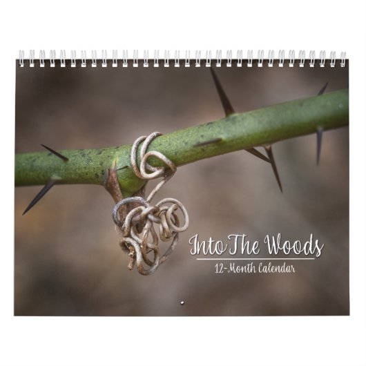 Dans Le Calendrier Des Bois De 12 Mois (Protection)