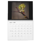 Dans Le Calendrier Des Bois De 12 Mois (Mar 2027)