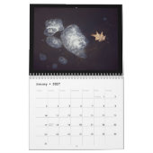 Dans Le Calendrier Des Bois De 12 Mois (Jan 2027)