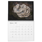 Dans Le Calendrier Des Bois De 12 Mois (Feb 2027)