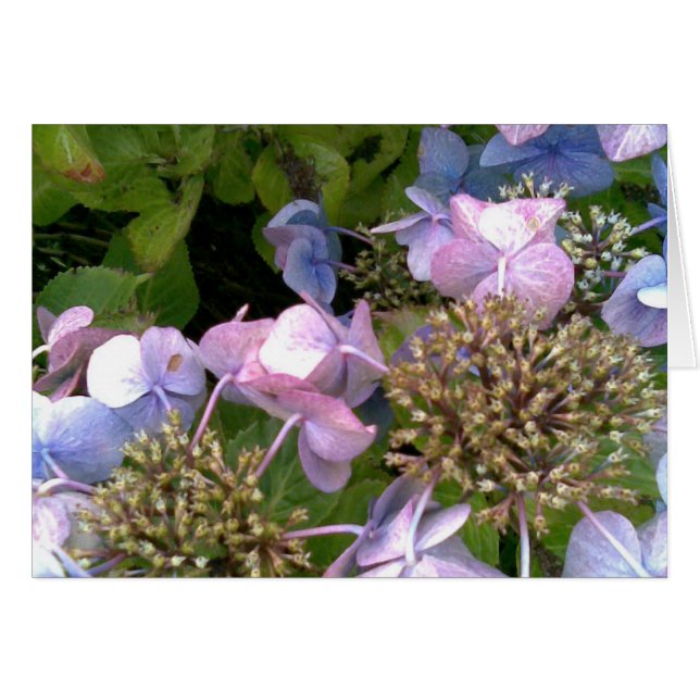 Dans le jardin (Devant horizontal)