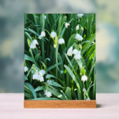 Dans le jardin... (Neutre)