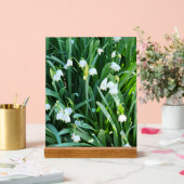 Dans le jardin... (Mariage)