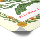 Dans Le Jardin ~ Affiche Calendula (Coin)