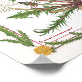 Dans le jardin ~ Poster Dandelion (Coin)