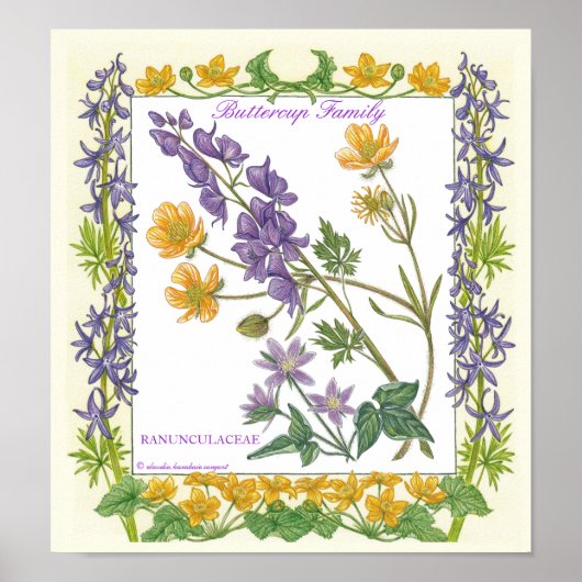 Dans Le Jardin ~ Poster de la famille Buttercup (Devant)