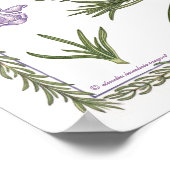 Dans le jardin ~ Poster de romarin (Coin)