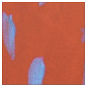 Dans Le Tissu Volcanique (Fermer)