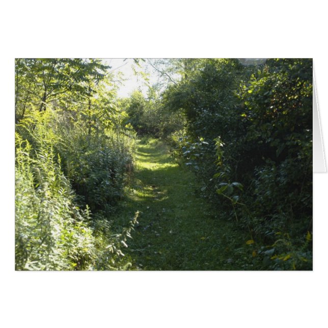 Dans les bois (Devant Horizontal)