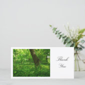 Dans les bois - Merci (Debout devant)
