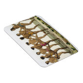 Dans of the Caroline Islanders, bord 22 uit 'Le Magneet (Rechterzijde)