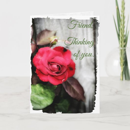 Dans son amour (Devant)