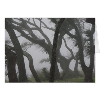 Dans un brouillard