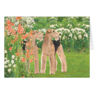 Dans un jardin fleuri