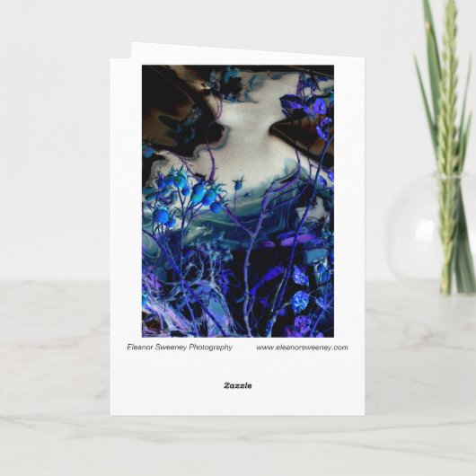 Dans un Modèle de rêve (Dos)