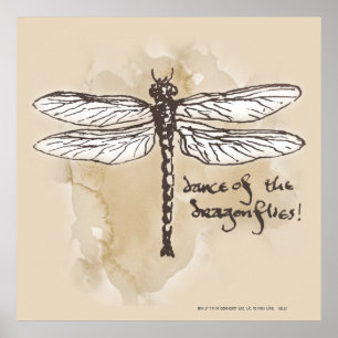 Dans van de libellen poster