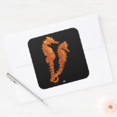 Dans van de zeepaardjes (Sinaasappel) Vierkante Sticker (Envelop)