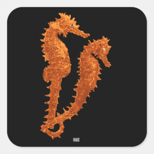 Dans van de zeepaardjes (Sinaasappel) Vierkante Sticker