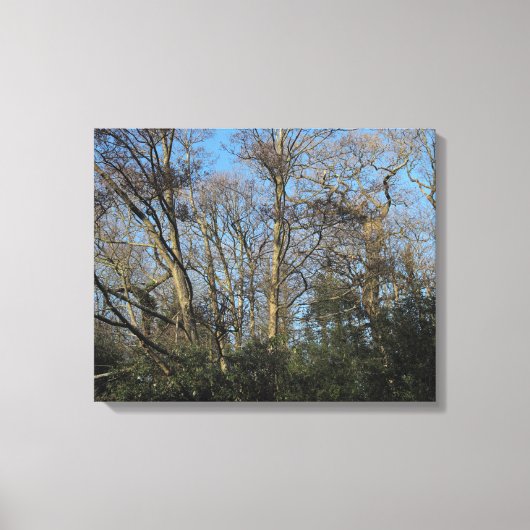 Dansbomen van het wilde hout canvas afdruk (Voorkant)
