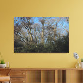 Dansbomen van het wilde hout canvas afdruk (Insitu (Woonkamer))