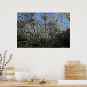 Dansbomen van het wilde hout poster (Keuken)