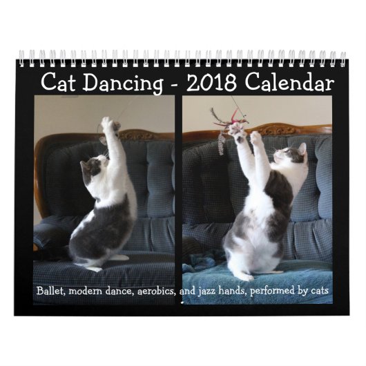 Danse de chat - calendrier 2018 (Protection)