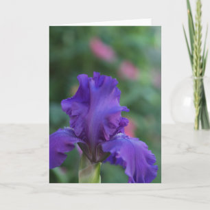 Danse de la carte de voeux Iris violet