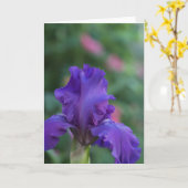 Danse de la carte de voeux Iris violet (Fleur jaune)